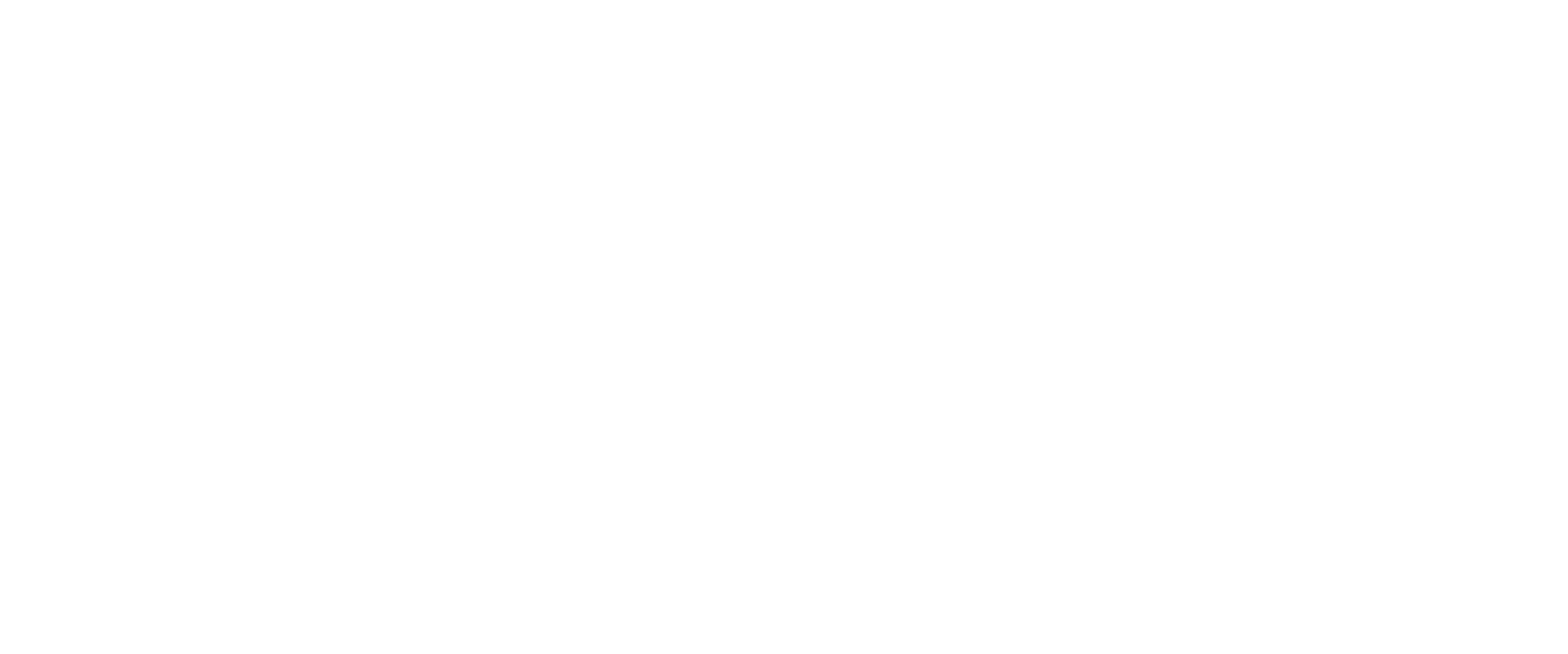 Yak 110 logo